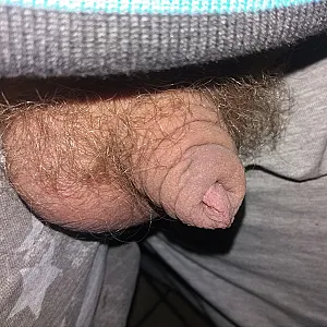 my hairy cock gallery image