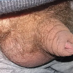 my hairy cock gallery image