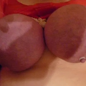 my horny tits gallery image