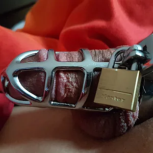 Private Parts gallery image