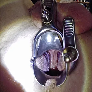 view in my small ass gallery image