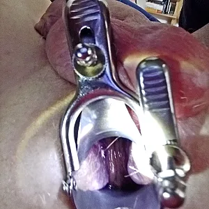 view in my small ass gallery image