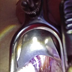 view in my small ass gallery image
