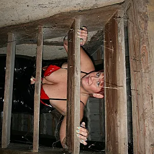 Domina in the attic gallery image
