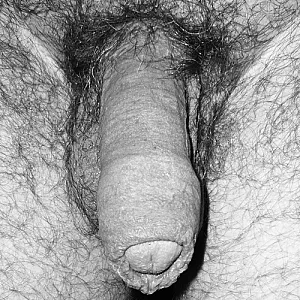 First image of fireball12's Gallery - my hairy body