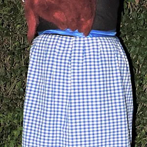 nylons and dirndl gallery image
