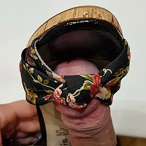schwanz in schuh Galeriebild