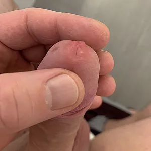who wants it gallery image