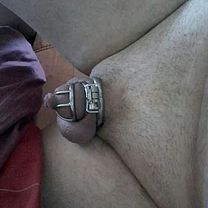 my new cockcage gallery image