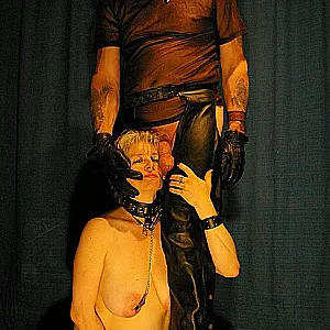 nasty carnival gallery image