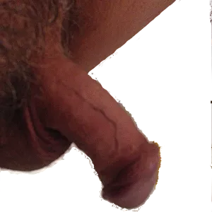fun in motel gallery image