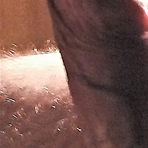 my hard cock gallery image