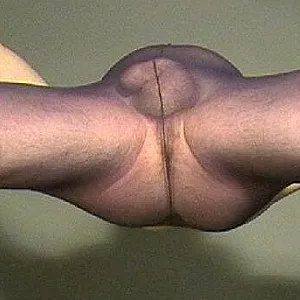 Sklavenarsch und Genitalien in Strumpfhose Galeriebild