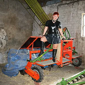 Hot images in the cowshed gallery image