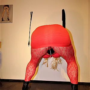 rote DWt  Tussi      Teil 1 Galeriebild
