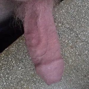 my small buddy gallery image