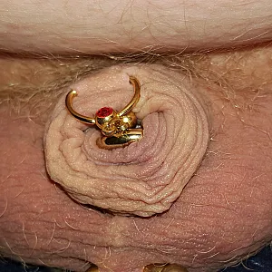 Mein kleiner Pullermann Galeriebild