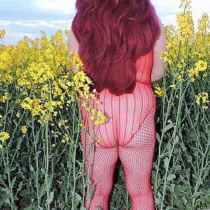 Sexy in Rot am gelben Rapsfeld 2020 Galeriebild