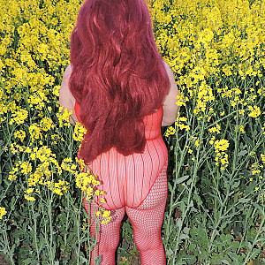 Sexy in Rot am gelben Rapsfeld 2020 Galeriebild