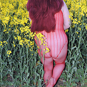 Sexy in Rot am gelben Rapsfeld 2020 Galeriebild