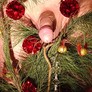 Weihnachtsdeko und Lichterkette Galeriebild