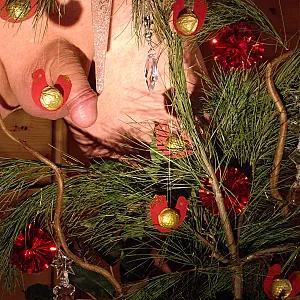 Weihnachtsdeko und Lichterkette Galeriebild