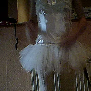 Me Sissy gallery image