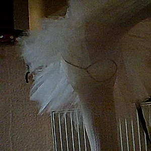 Me Sissy gallery image