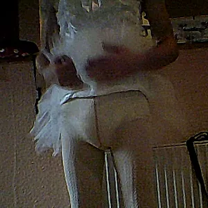 Me Sissy gallery image