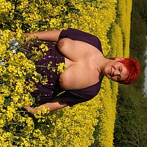 Bare tits in field gallery image