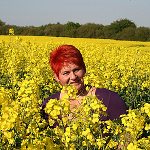 Blanke Titten im Rapsfeld Galeriebild