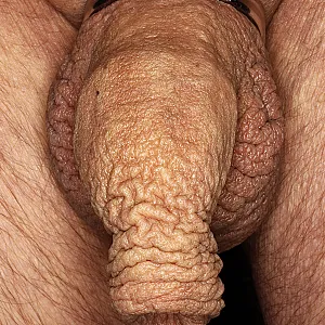 Quer durch alle Bilder Galeriebild