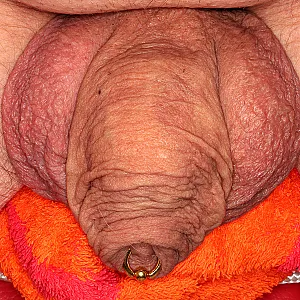 Quer durch alle Bilder Galeriebild