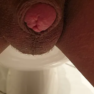 Penis zeigen Galeriebild