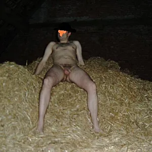 in the hay gallery image