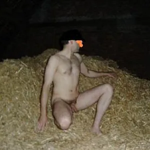 in the hay gallery image
