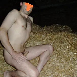 in the hay gallery image