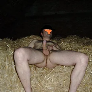 in the hay gallery image
