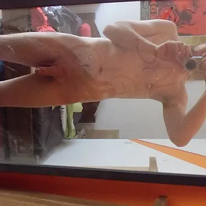 my cock gallery image