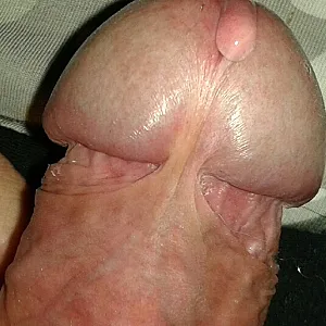 hot penis gallery image