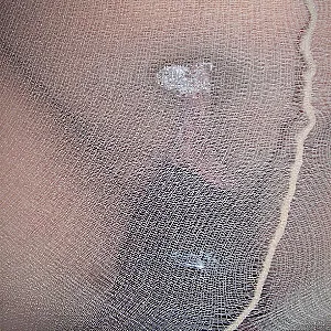 Bilder am Karfreitag Teil 2 Galeriebild