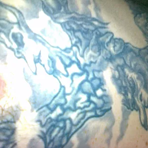 First image of gertner's Gallery - tatoos part 2