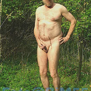 in forest gallery image