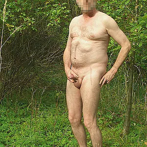 in forest gallery image