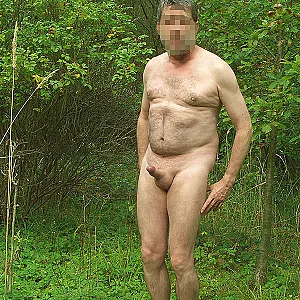 in forest gallery image