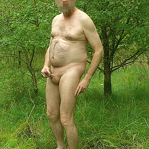 in forest gallery image