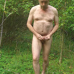 in forest gallery image