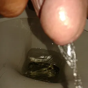 pissing gallery image