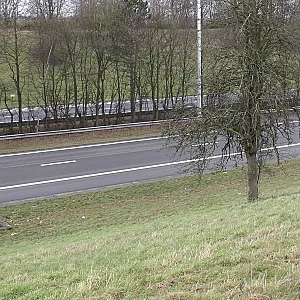 Along a highway gallery image
