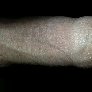 Sonntag morgens Galeriebild